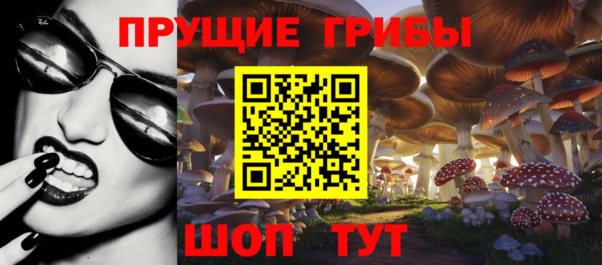 Галлюциногенные грибы GOLDEN TEACHER  Вход с VPN  Южноуральск 